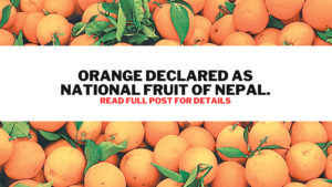 Read more about the article Orange Declared as National Fruit of Nepal.