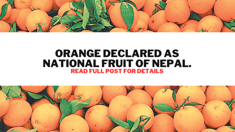Orange Declared as National Fruit of Nepal.