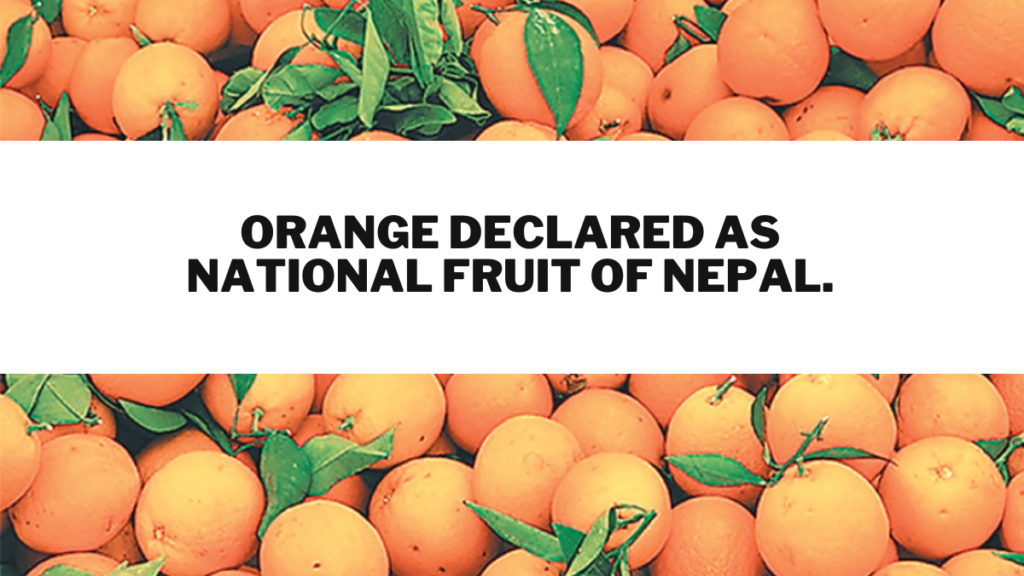 Orange Declared as National Fruit of Nepal.